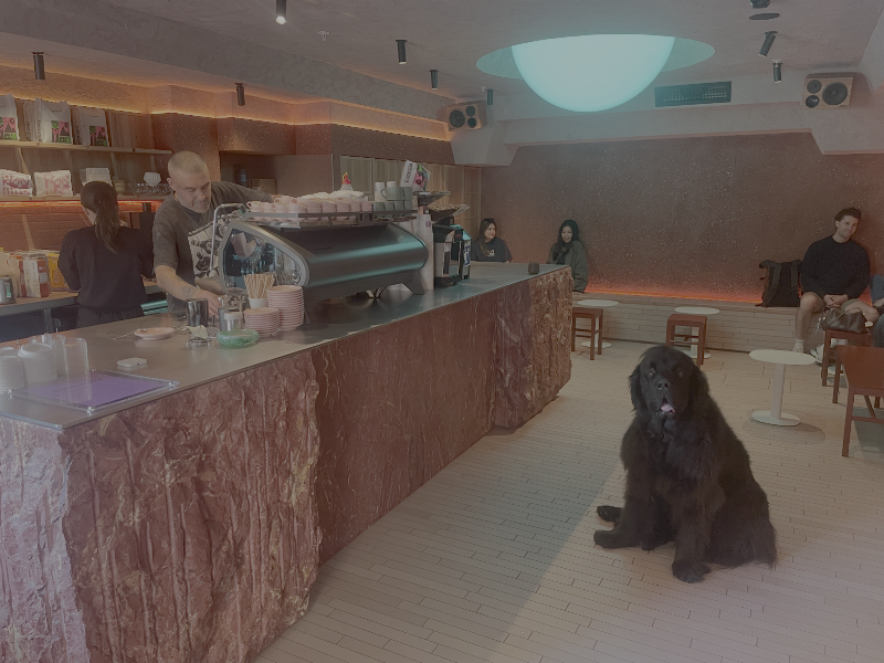 Mecca Coffee - Foley Street 5