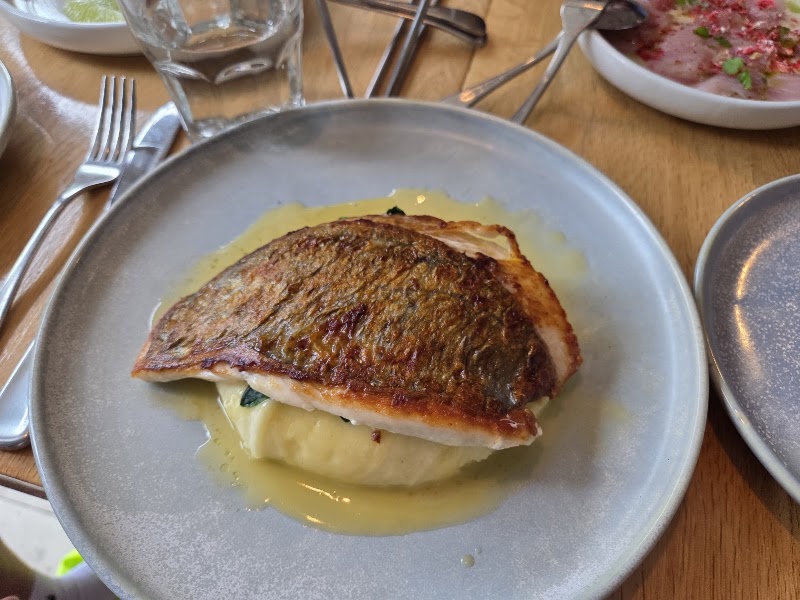 Garfish Manly 6