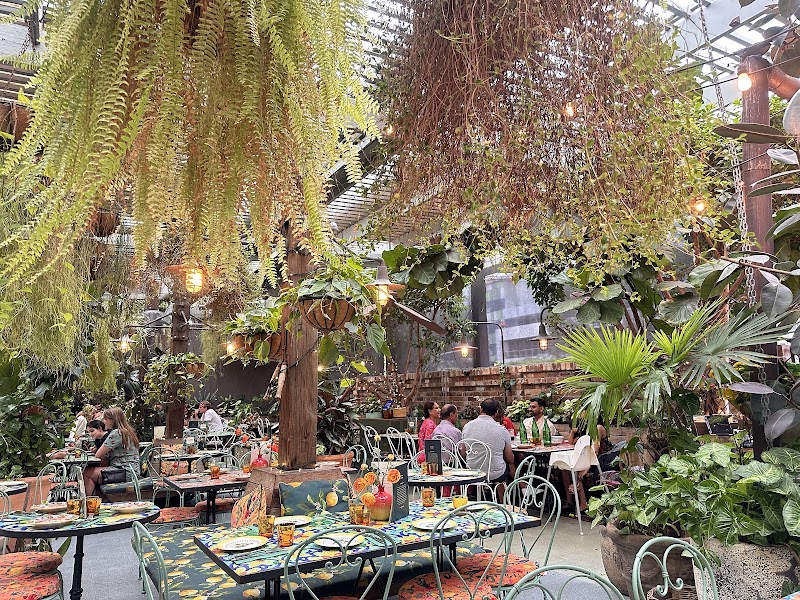 The Grounds of Alexandria 6